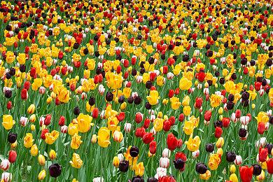 前暴雪开发者新作《Spellcraft》预告公开 即时战术游戏